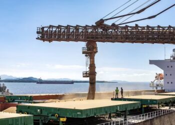 Soja lidera o topo da lista das exportações brasileiras — Foto: Claudio Neves/Portos do Paraná