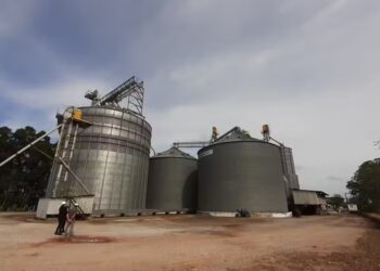 Faturamento das cooperativas agro chegou a R$ 423,1 bilhões em 2023, após dois anos de fortes altas — Foto: Cotrisul/Divulgação