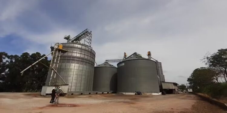 Faturamento das cooperativas agropecuárias recuou em 2023