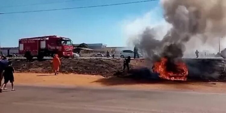 Motorista morre carbonizado após colisão na BR-010 em Palmas