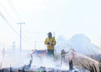 Bombeiros militares e brigadistas combatem incêndio florestal nas proximidades da UPA Norte, em Palmas