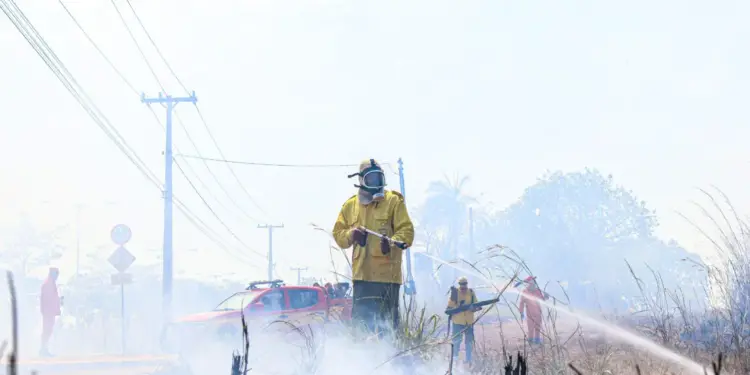 Bombeiros militares e brigadistas combatem incêndio florestal em área de 118 mil metros quadrados em Palmas