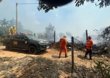 Combate a incêndios florestais no Amazonas já duram 20 dias