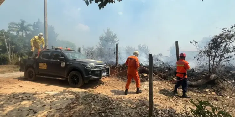 Amazonas: bombeiros tocantinenses completam 20 dias de combate aos incêndios florestais