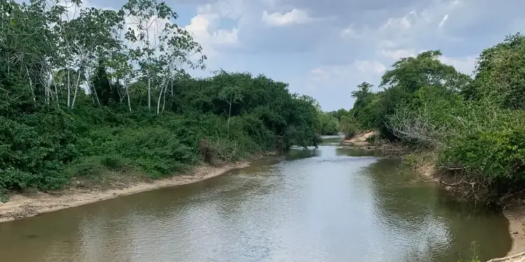 Em julho, os níveis dos rios se mantiveram acima da cota de 'Déficit Hídrico' no Tocantins_Foto Rogério Noleto