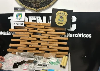 Os policiais civis realizaram buscas na residência e localizaram a farta quantidade de drogas guardadas em um guarda-roupas - Divulgação PCTO/Governo do Tocantins