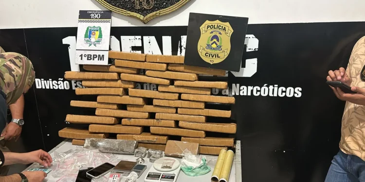 Polícia Civil apreende 35kg de maconha e com auxílio de policiais militares mulher é presa por tráfico de drogas