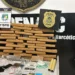 Polícia Civil apreende 35kg de maconha e com auxílio de policiais militares mulher é presa por tráfico de drogas