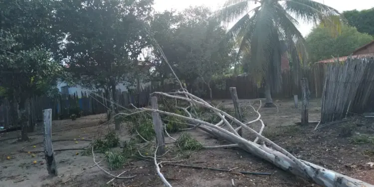 Condições para chuva e vento forte para regiões Norte e Sul do TO acende alerta para a segurança