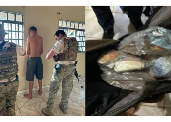 Operação Crypto Fall foi deflagrada na cidade de Porto Franco (MA) - Divulgação PCTO