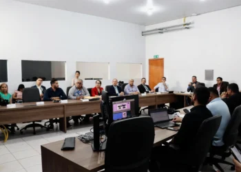 Na reunião diversos temas foram debatidos, entre eles a proposta de implantação do Sistema de Garantia de Direitos para Crianças e Adolescentes - Foto: Vania Machado/Governo do Tocantins