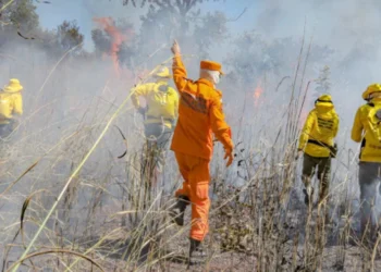 Com as atividades, o Governo do Tocantins quer minimizar os danos ambientais e garantir uma resposta eficaz às emergências - Luiz Henrique Machado/Governo do Tocantins
