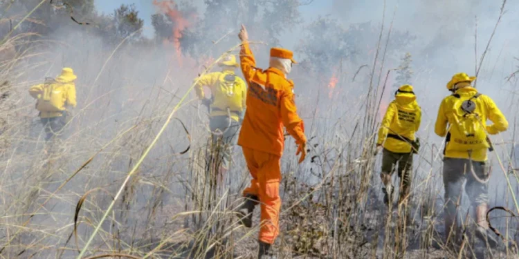 Com ações do Governo, Tocantins cai para 9ª posição no ranking nacional de queimadas no mês de agosto