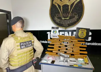 Policiais Militares localizaram suspeita de tráfico em área de mata de Palmas