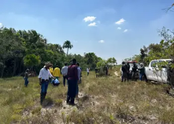 Comunidade e instituições parceiras da Operação Capim-Dourado durante monitoramento