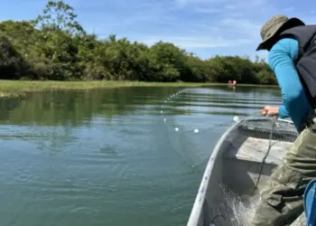 Fiscalização recolhe redes de pesca durante ações concluídas nesta segunda-feira, 12