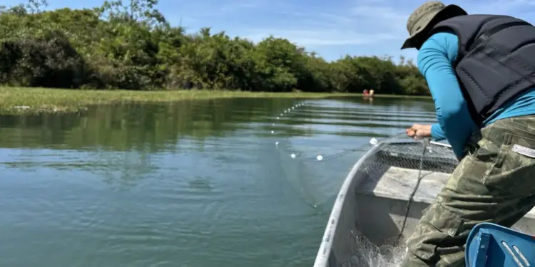 Fiscalização recolhe redes de pesca durante ações concluídas nesta segunda-feira, 12