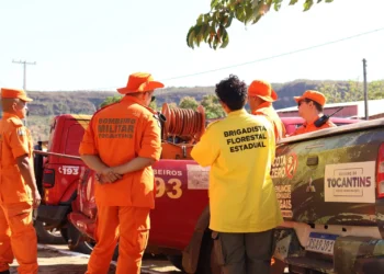 ICMS-Ecológico incentiva os municípios a investirem no combate às queimadas com a contratação de brigadistas. - Foto: Foto: Luiz Henrique Machado/Governo do Tocantins
