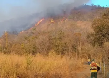 Equipe combate incêndio no topo da serra, onde o fogo ameaçava alcançar fazendas locais
