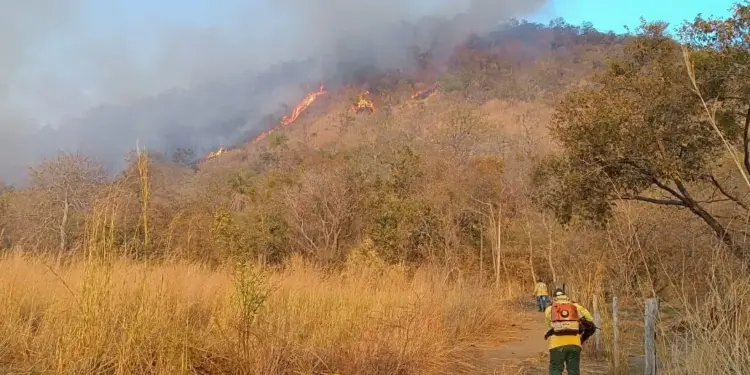 Brigadistas do Naturatins combatem incêndio florestal na APA Serra do Lajeado