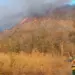 Brigadistas do Naturatins combatem incêndio florestal na APA Serra do Lajeado