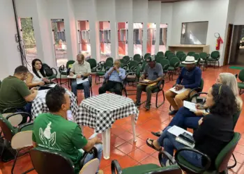 Reunião discutiu questões relacionadas ao Termo de Compromisso celebrado entre Naturatins e Associação de Torrãozeiros - Foto: Naturatins/Governo do Tocantins