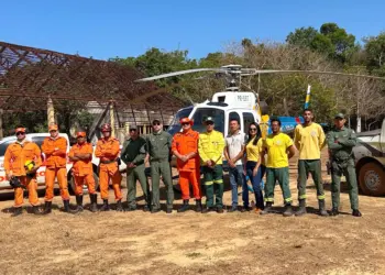 Naturatins, Corpo de Bombeiros Militar e Centro Integrado de Operações Aéreas combatem incêndio no Parque Estadual do Cantão - Foto: Andréa Marques/Governo do Tocantins