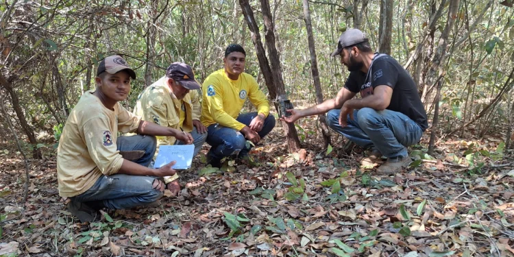 Naturatins inicia nova etapa de monitoramento da fauna silvestre no Parque Estadual do Lajeado