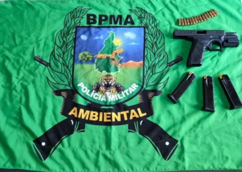 Arma de fogo localizada no interior da barraca de camping