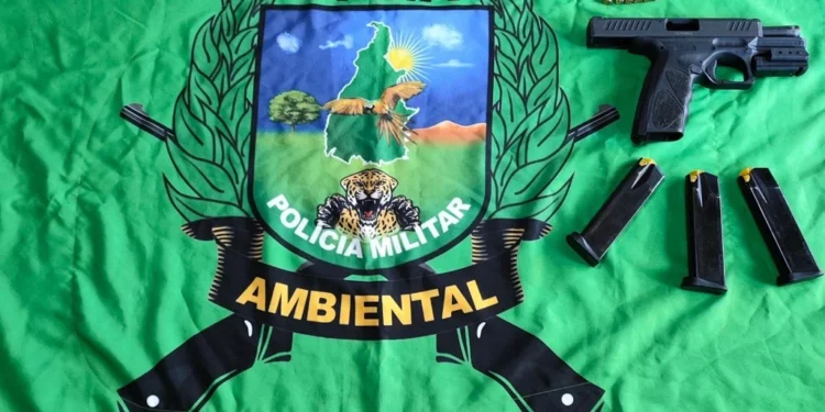 Arma de fogo localizada no interior da barraca de camping