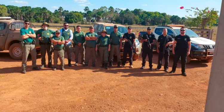 Polícia Civil do Tocantins apoia Operação Caryocar I no combate ao desmatamento ilegal