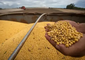Diante das baixas em julho, sojicultores brasileiros estiveram reticentes nas negociações de grandes volumes — Foto: Wenderson Araujo/CNA