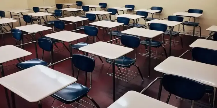 Serasa anuncia 6 milhões de ofertas com descontos de até 95% para estudantes negociarem dívidas