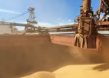 Preço pago em Paranaguá atingiu média de US$ 427,68 por tonelada, queda de 3,5% em relação à média de junho — Foto: Nájia Furlan/Portos do Paraná