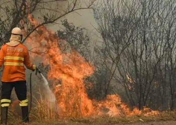 Bombeiro atuando na BR 262 em Miranda (MS) Bruno Rezende/Secom MS