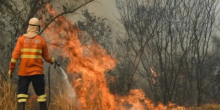 Bombeiro atuando na BR 262 em Miranda (MS)
Bruno Rezende/Secom MS