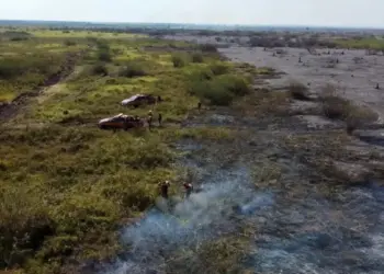 Incêndios no Pantanal ficam 40% mais intensos devido às mudanças climáticas
Bruno Rezende/Governo do Rio Grande do Sul