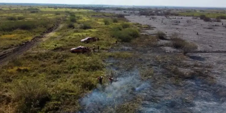 Mudanças climáticas aumentam risco e intensidade de incêndios no Pantanal