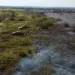Mudanças climáticas aumentam risco e intensidade de incêndios no Pantanal