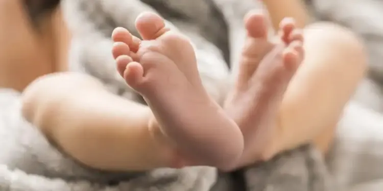 Febre oropouche: quais os riscos da transmissão vertical para o bebê?