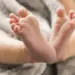 Febre oropouche: quais os riscos da transmissão vertical para o bebê?