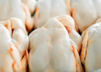 As exportações de carne de frango registraram uma receita US$ 953,8 milhões em setembro — Foto: Cdial/Halal