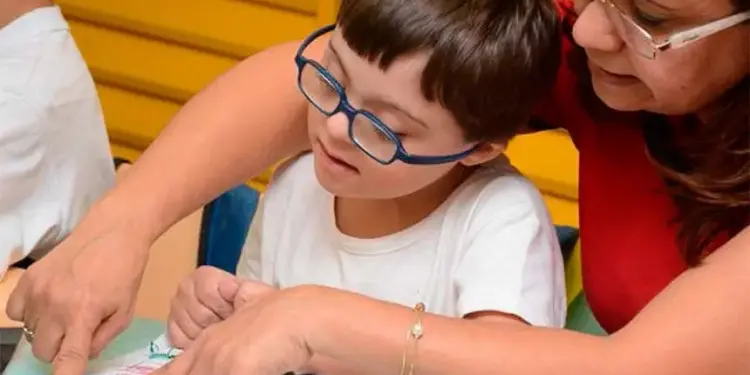 CE avalia obrigatoriedade de profissional de apoio escolar na educação especial