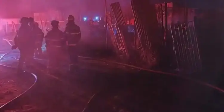 Bombeiros atuam no combate a incêndio no DF
CBMDF/Divulgação