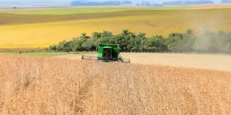 Conab indica recuo para safra de grãos 23/24