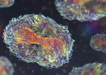 A mpox é uma doença zoonótica viral