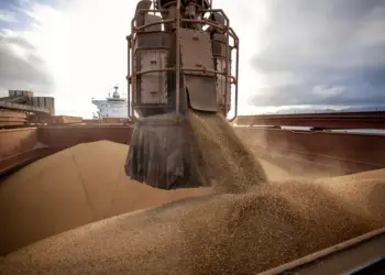 No acumulado de janeiro a julho, as exportações do agro renderam ao Brasil US$ 97,80 bilhões, valor recorde — Foto: Claudio Neves/Portos do Paraná