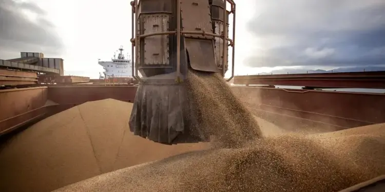 No acumulado de janeiro a julho, as exportações do agro renderam ao Brasil US$ 97,80 bilhões, valor recorde — Foto: Claudio Neves/Portos do Paraná