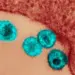 HIV: nova variante está circulando em três estados do Brasil, diz estudo