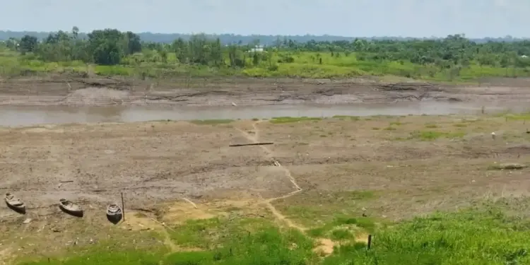 Seca em Amaturá, cidade no Amazonas.
Reprodução/ Defesa Civil